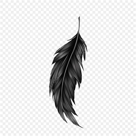 Pluma Negra Minimalista Negro Pluma De Plumas Revoloteando PNG Dibujos