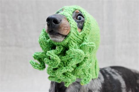 Knit A Cthulhu Dog Hat Doggy Cosplay At Its Best Knithacker