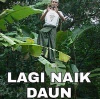 meme benar tapi salah awas nyengir sendiri