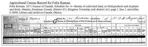 Canada Rural Censuses 1851 1861 And 1871 National Institute
