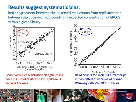 Biases In Rna Seq Data October 15th 2012 Nbic Advanced Rna Seq Course Ppt Download