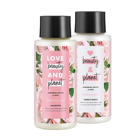 Best Shampoo And Conditioner Sets Of Reviewthis