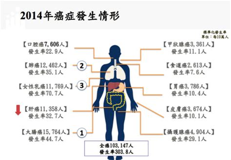 癌症時鐘快轉創新高！ 平均「每5分6秒」就有1人罹癌 Ettoday健康雲 Ettoday新聞雲