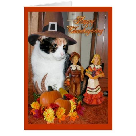 Happy Thanksgiving For Cat Lover Card Zazzle