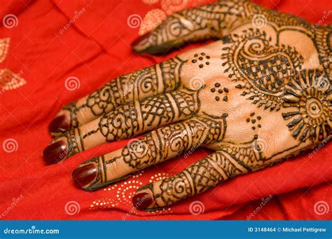 Hennastrauch Stockfoto Bild Von Traditionell Tradition 3148464