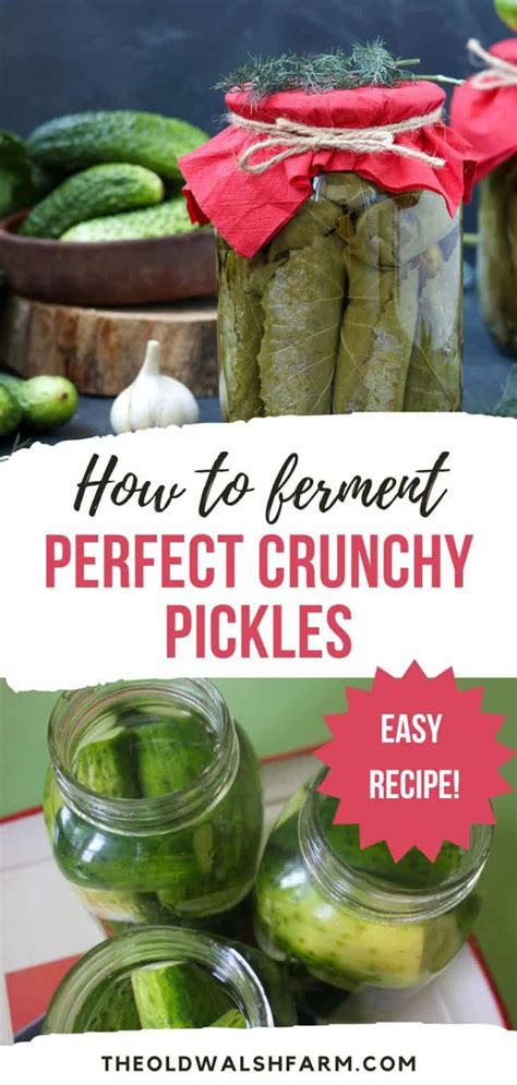 How To Make Crunchy Lacto Fermented Pickles