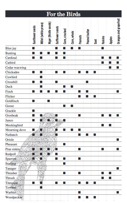 Feeding Wild Birds A Guide To Seed Types Wild Birds Wild Bird Food