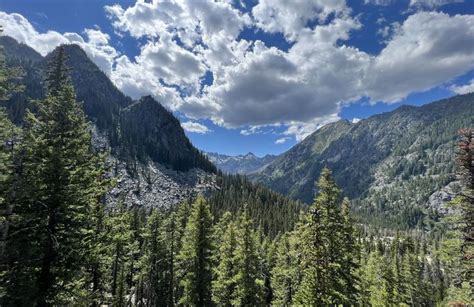 Lake Stuart Trail