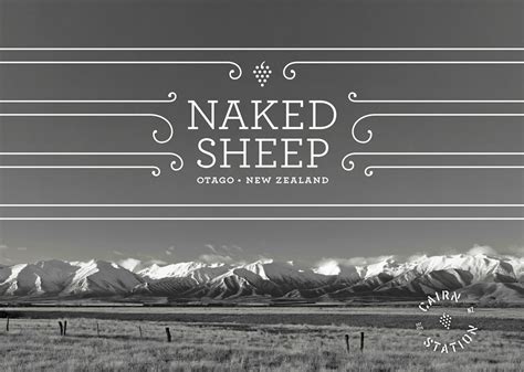 Naked Sheep Packaging