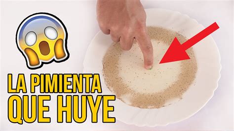 La Pimienta Que Huye Experimentos Caseros Youtube