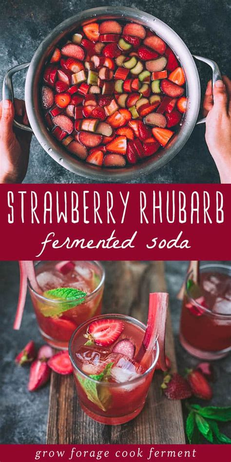 Fermented Strawberry Rhubarb Soda Recipe Artofit