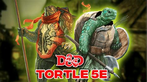 Tortle 5e Race For Dungeons And Dragons Dandd Guide 2023 5th Edition