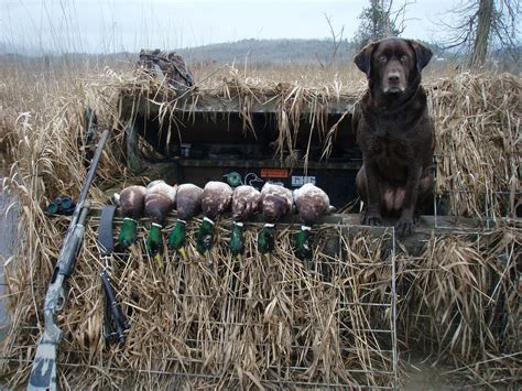 Pit Duck Blinds