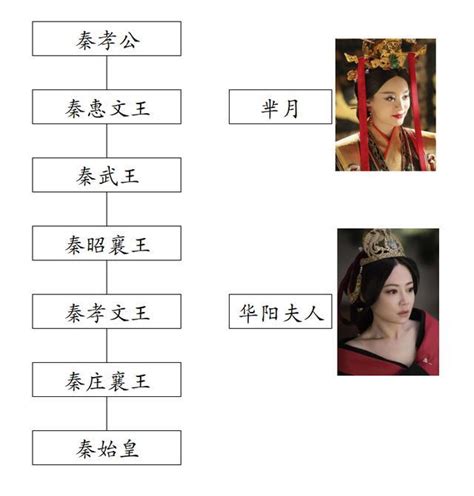 《羋月傳》中的羋月和《大秦賦》中華陽夫人在歷史上是同一個人？ 壹讀