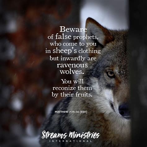 Beware Of False Prophets Who Come To You In Sheep S Clothing But Inwardly Are Ravenous Wolves