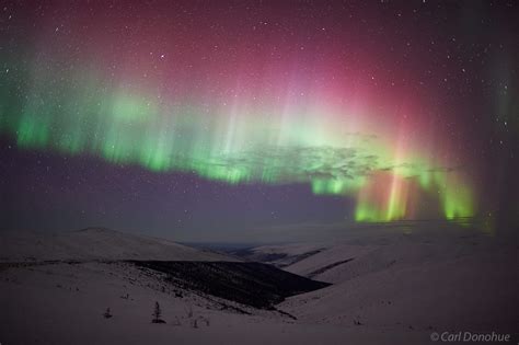 Multicolored Aurora Borealis Photo Alaska Carl Donohue Photography