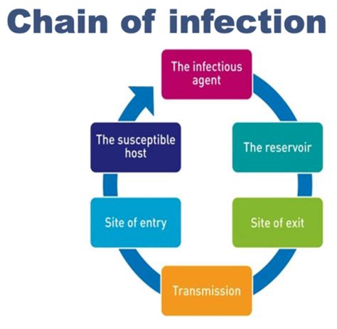 Infection Control And Prevention Flashcards Quizlet