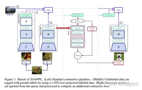 Semppl Predicting Pseudo Labels For Better Contrastive Representations