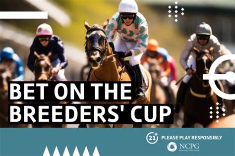 Breeders' Cup 2023 - preview, post positions, picks, odds and betting ...