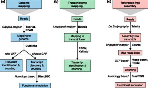 Read Mapping And Transcript Identification Strategies Three Basic