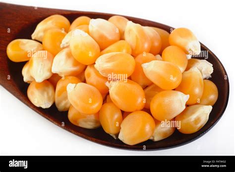 Dried Corn Seeds In Wooden Spoon Stock Photo Alamy