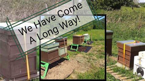 Setting Up The Apiary Collecting Honey Bees And Installing A Nuc Youtube