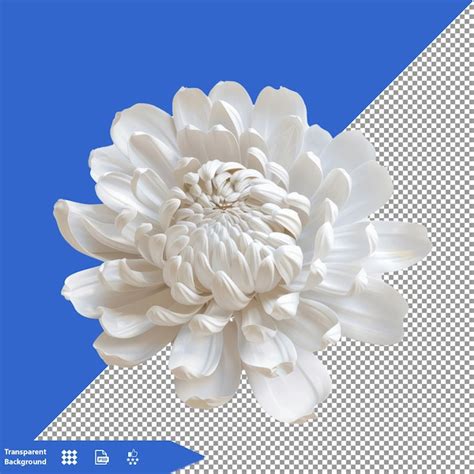 Premium Psd A White Flower With A Blue Background And The Word Flower