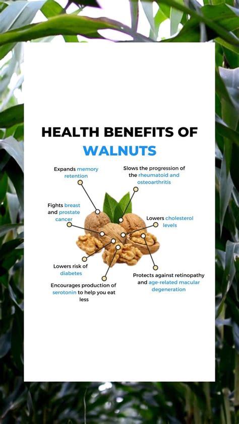 Health Benefits of Walnuts | Health benefits of walnuts, How to eat ...