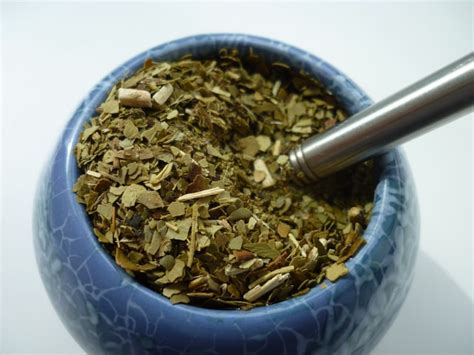 8 Amazing Health Benefits Of Yerba Mate Money For Lunch