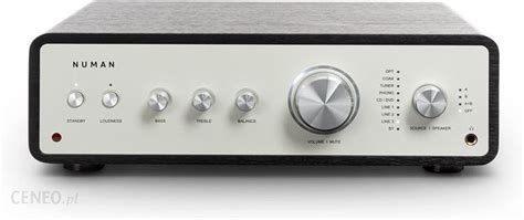 Wzmacmiacz Audio Numan Drive Cyfrowy Wzmacniacz Stereo X W