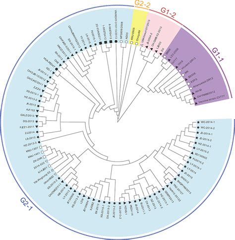 Phylogenetic Tree Of The S Genes Of Epidemic And Reference Pedv