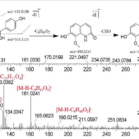 Mass Spectrogram In Negative Mode And Fragmentation Pathways Of