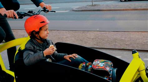 Das Triobike Cargo Und Cargo Big Lastenfahrrad Zentrum De