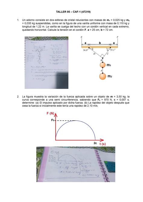 Taller 05 47219 TALLER 05 CAF 1 47219 Un Adorno Consiste En Dos