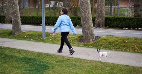 Caminata Ligera De 2 Minutos Después De Comer ¿reduce El Riesgo De