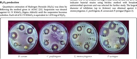 Antagonistic Spectrum Of Lactic Acid Bacteria Isolated From Chuli By