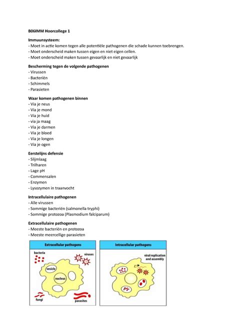 B06IMM Samenvatting Van Alle Hoorcolleges B06IMM Hoorcollege 1