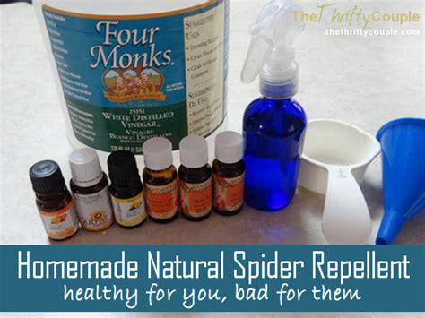 Diy Spider Spray Vinegar Top 25 Best Homemade Spider Spray Ideas On