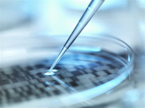 Reading bloomington pantagraph obituaries uncovers community history 22