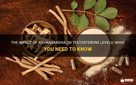 The Impact Of Ashwagandha On Testosterone Levels What You Need To Know Medshun