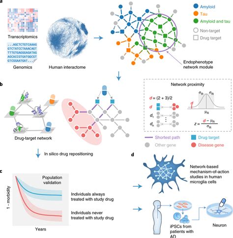 A Diagram Illustrating An Endophenotype Network Based Drug Repurposing