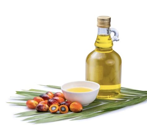 RBD Palm Oil Wholesale | RBD Palm Oil for Bulk Sale – Thai Edible Oil Company Ltd