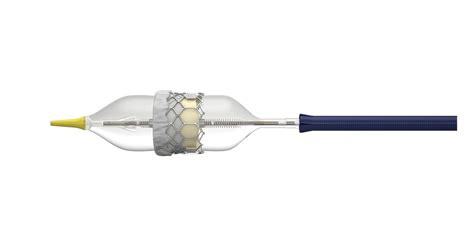 Edwards Sapien 3 Tavr Receives Fda Approval For Low Risk Patients