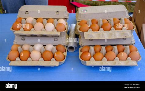 Egg Carton Farm Hi Res Stock Photography And Images Alamy