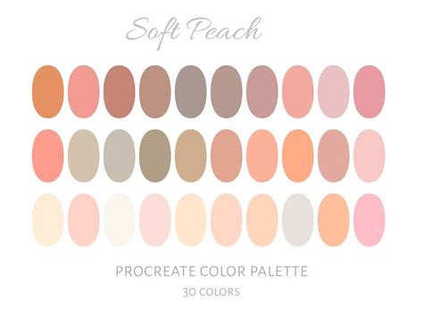 Procreate Color Palette Muted Peach Colors Hex Codes Digital Color