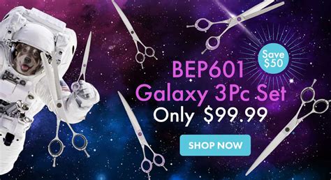 Discounted Beauty And Grooming Shears Shop At Shearsdirect