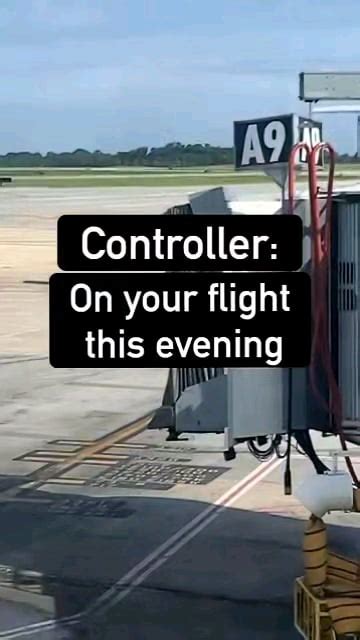 Pilot Lets Air Traffic Controller Propose To His Girlfriend On The Plane R Humansbeingbros