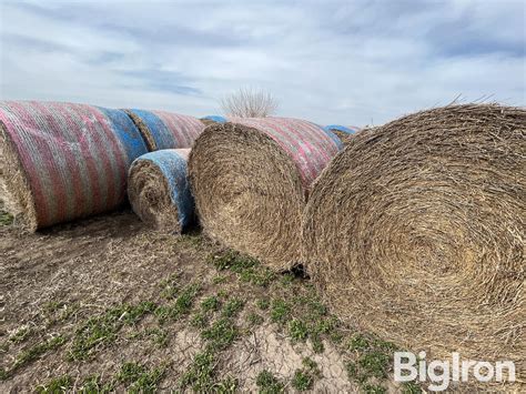 Alfalfa Round Bales 4th Cutting BigIron Auctions