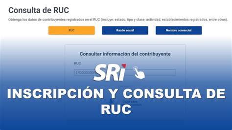 Consulta de RUC en Ecuador Cómo Obtener Información de Contribuyentes