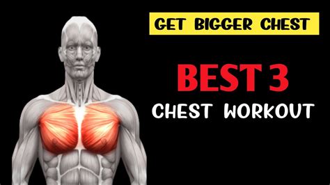 3 Best Chest Workout Chest Workout For Mass Youtube